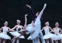 Swan Lake